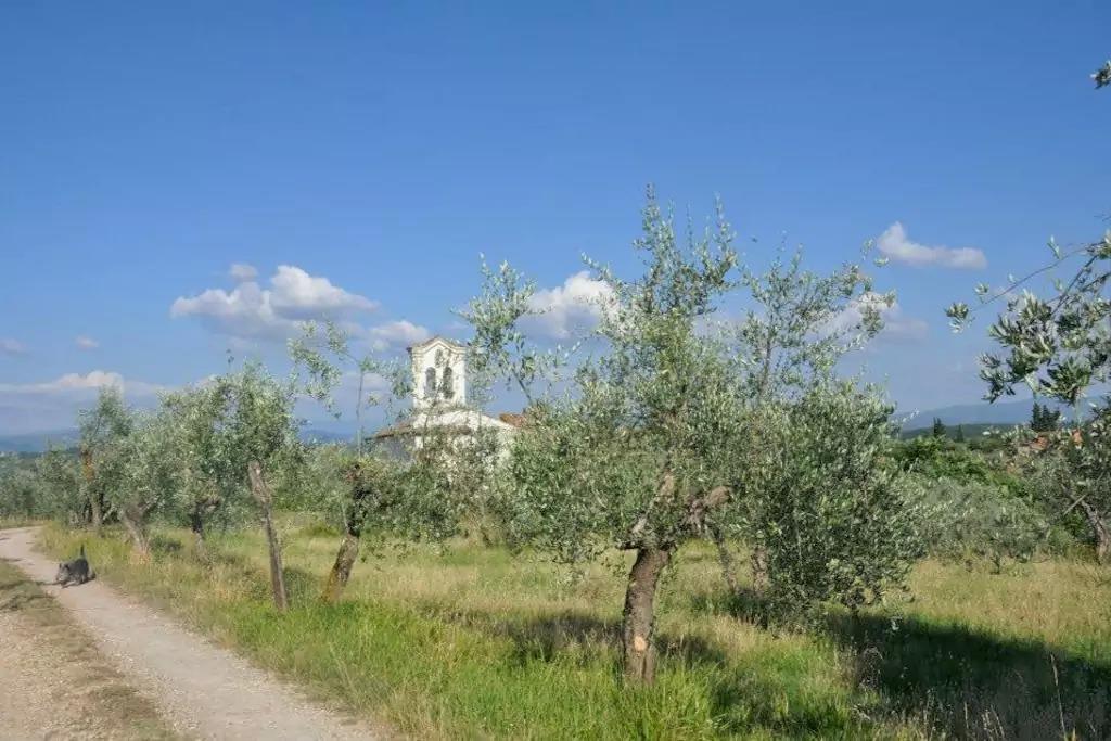 Anba Hotel Firenze Kültér fotó